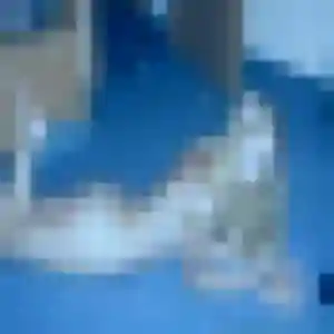 Salma, 38 ans, disponible à La Chapelle-Thouarault pour un beurette