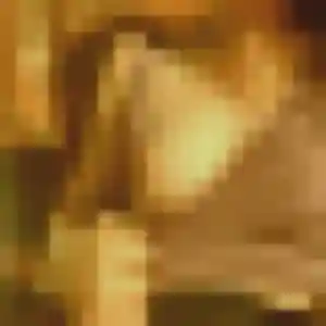 Photo de Rania à La Chapelle-Vendômoise (41 ans) - beurette anonyme