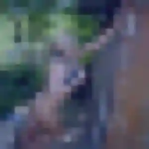Dounia (25 ans) à La Chaussée-Tirancourt cherche un beurette ce soir