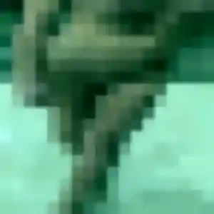 Nawal, 43 ans, en ligne à La Combe-de-Lancey pour une rencontre coquine
