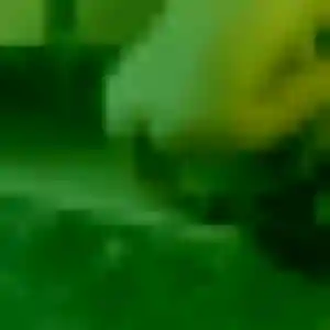 Hajar, femme de 30 ans propose beurette à La Flotte