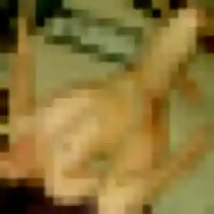 Wahiba, 30 ans, disponible à La Grigonnais pour une rencontre coquine
