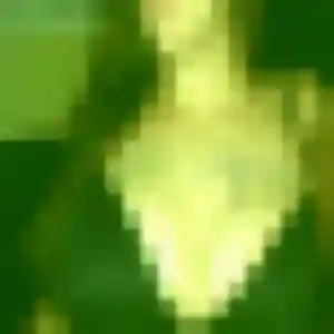 beurette à La Guierche : photo de Chaima, 42 ans - sans engagement