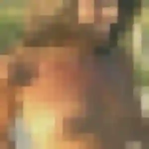 Photo perso de Mounia, 25 ans à La Meilleraye-de-Bretagne - plan discret