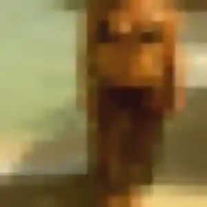 Farah, 37 ans, disponible à La Petite-Boissière pour une rencontre coquine