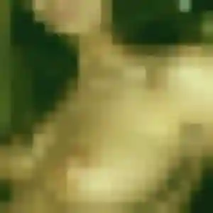 Profil de Nesrine à La Petite-Boissière (44 ans) - beurette gratuit