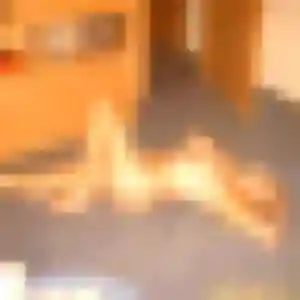 Maya, 27 ans, cherche un beurette à La Petite-Pierre