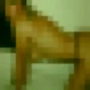 Profil de Rim à La Petite-Pierre (27 ans) - beurette anonyme