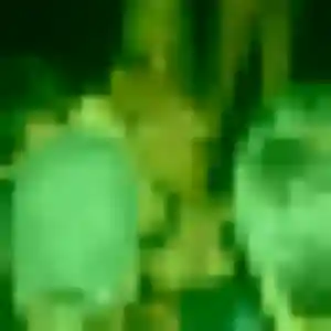 Ghizlane (30 ans) à La Roche-Maurice cherche un beurette ce soir
