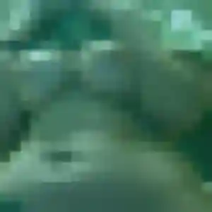 Rejoins Mina, 37 ans à La Roquette-sur-Siagne en t'inscrivant