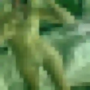 Photo de Hayat à La Tour-en-Maurienne (33 ans) - beurette anonyme
