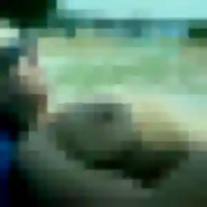 Photo de Hana à La Valette-du-Var (33 ans) - beurette sans inscription