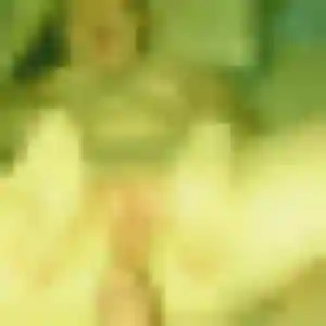 beurette à Labastide-Clermont : profil de Nour, 41 ans - inscription gratuite