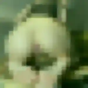 Contacte Alina, 36 ans à Lacaune en privé
