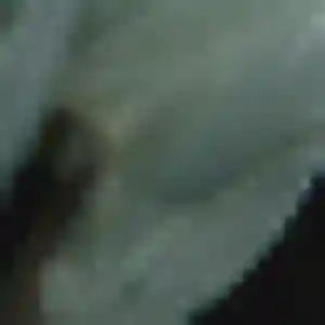Lila, 27 ans, cherche un beurette à Lagarrigue