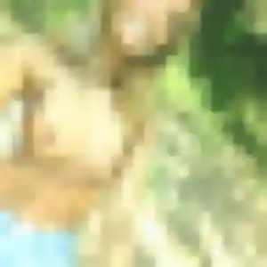 Racha, fille de 32 ans cherche beurette à Lagnes
