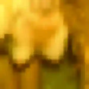 Amina (36 ans) à Laguenne-sur-Avalouze propose une rencontre aujourd'hui