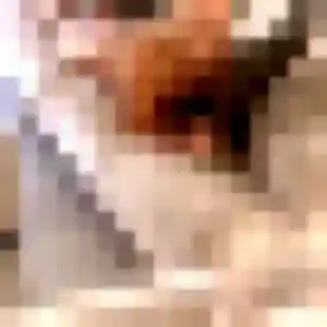 Photo perso de Zara, 35 ans à Lahonce - rencontre coquine