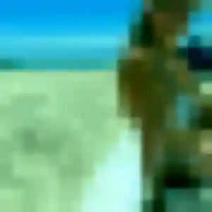 Sexy Jamila, 29 ans à Laizé - voir sa photo