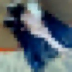 Talia, femme de 23 ans cherche beurette à Lalande-de-Pomerol
