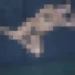 Kawtar, fille de 44 ans cherche beurette à Lambersart