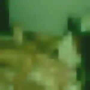 Profil de Jihane à Lamotte-Beuvron (27 ans) - beurette anonyme
