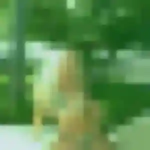 Photo de Assia à Lampertsloch (37 ans) - beurette sans inscription