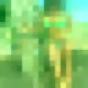 Photo de Nadia à Landevieille (37 ans) - beurette discret