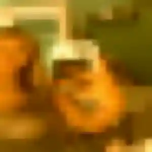 Photo de Ghizlane à Landivy (35 ans) - beurette gratuit