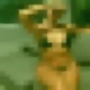 Belle Hafsa, 38 ans à Landorthe - la contacter