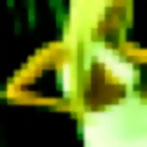 Hanane de Langres, 42 ans - beurette discret