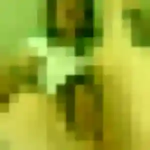 Naila de Languenan, 37 ans - beurette discret