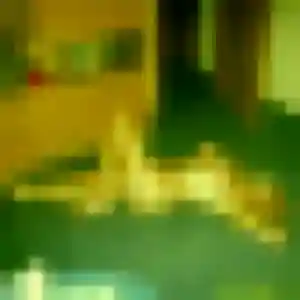 Rejoins Wahiba, 25 ans à Lanmérin gratuitement