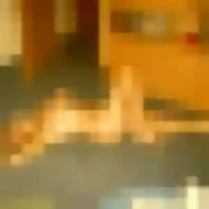 Nadia, 30 ans, en ligne à Lanne pour une rencontre coquine