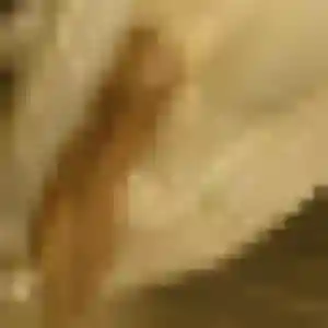 Djamila, 24 ans, connectée à Lannoy pour une rencontre coquine