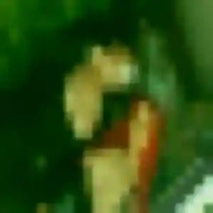 Photo privée de Syrine, 45 ans à Lapoutroie - rencontre coquine