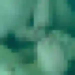 Photo de Habiba à Lassay-les-Châteaux (43 ans) - beurette anonyme