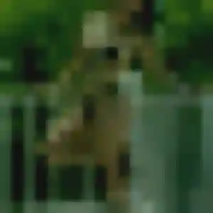 Photo exclusive de Maissa, 41 ans à Lauwin-Planque - plan discret
