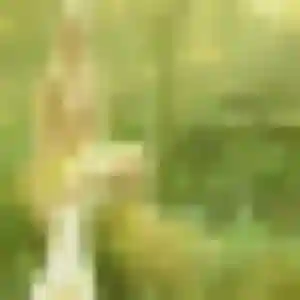 Zineb, 29 ans, connectée à Laveyron pour une rencontre coquine