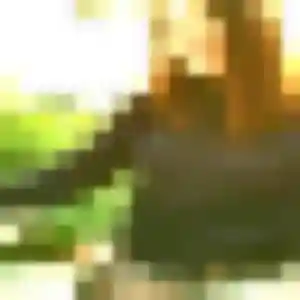 Mariam (27 ans) à Lay cherche une rencontre rapidement