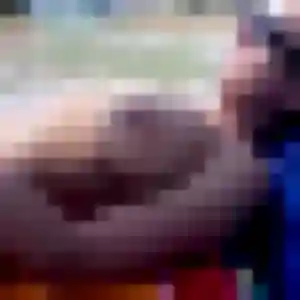 Contacte Amina, 39 ans à Le Barcarès en t'inscrivant