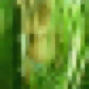 Photo exclusive de Saida, 23 ans à Le Bonhomme - rencontre coquine