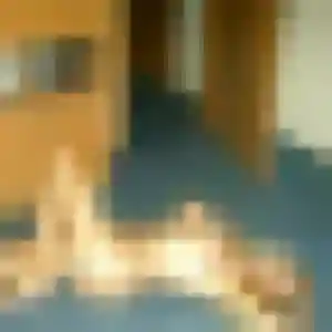 Photo de Talia à Le Burgaud (31 ans) - beurette gratuit