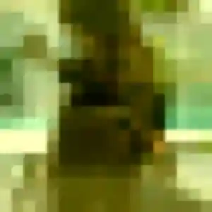 Photo de Rokia à Le Coteau (45 ans) - beurette discret