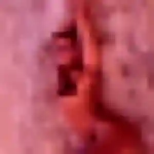 Profil de Nissa à Le Haut Soultzbach (40 ans) - beurette anonyme