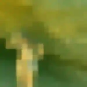 Profil de Wahiba à Le Merzer (23 ans) - beurette gratuit