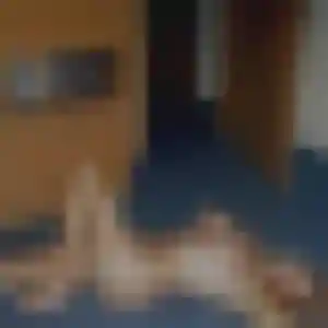 Profil de Bouchra à Le Mesnil-en-Thelle (30 ans) - beurette discret