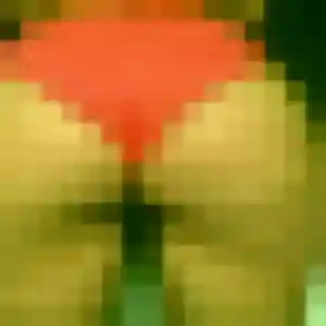 Sexy Nadia, 23 ans à Le Plessis-Pâté - voir sa photo