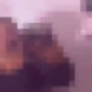 Sexy Fouzia, 29 ans à Le Pré-Saint-Gervais - voir sa photo