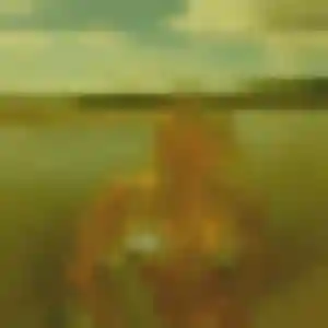 Photo exclusive de Anissa, 35 ans à Le Rousset-Marizy - plan discret